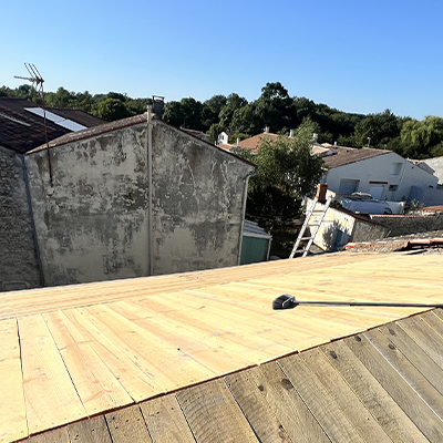 Services de nettoyage, démoussage, traitement, réfection de toiture en Charente-Maritime 17